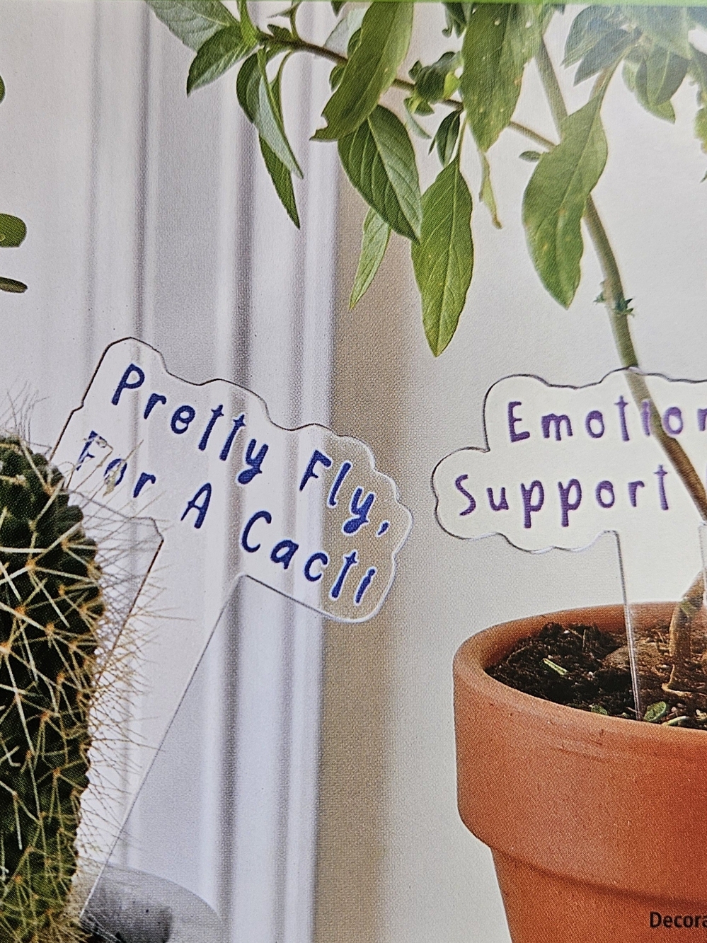 Clear Acrylic Plant Label Stakes